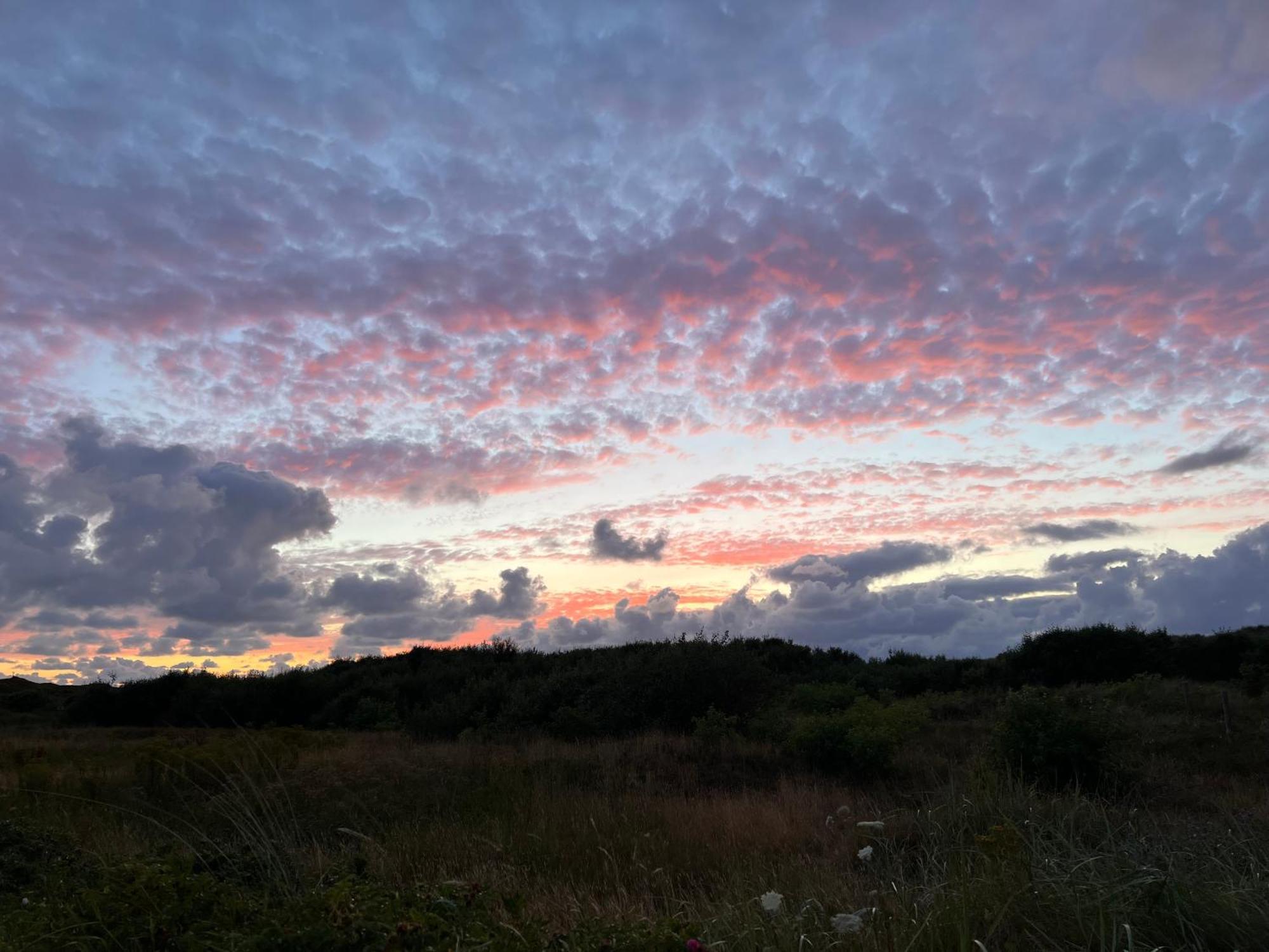 B&B In De Duinen De Koog  Zewnętrze zdjęcie